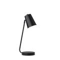 Arlen Desk Lamp