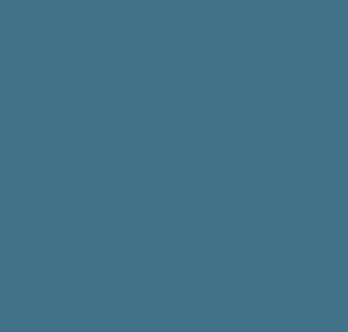 BS113 Deep Saxe Blue