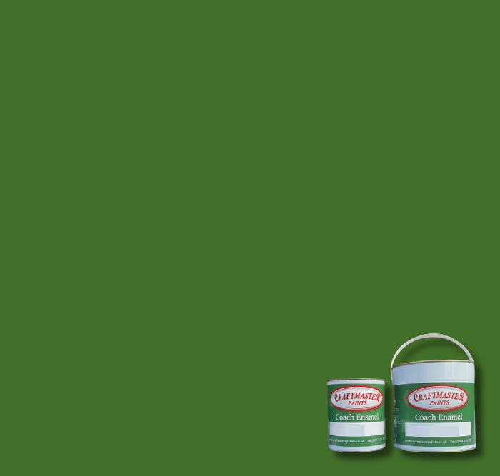 BS225 Light Brunswick Green