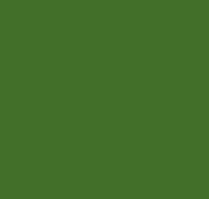 BS225 Light Brunswick Green