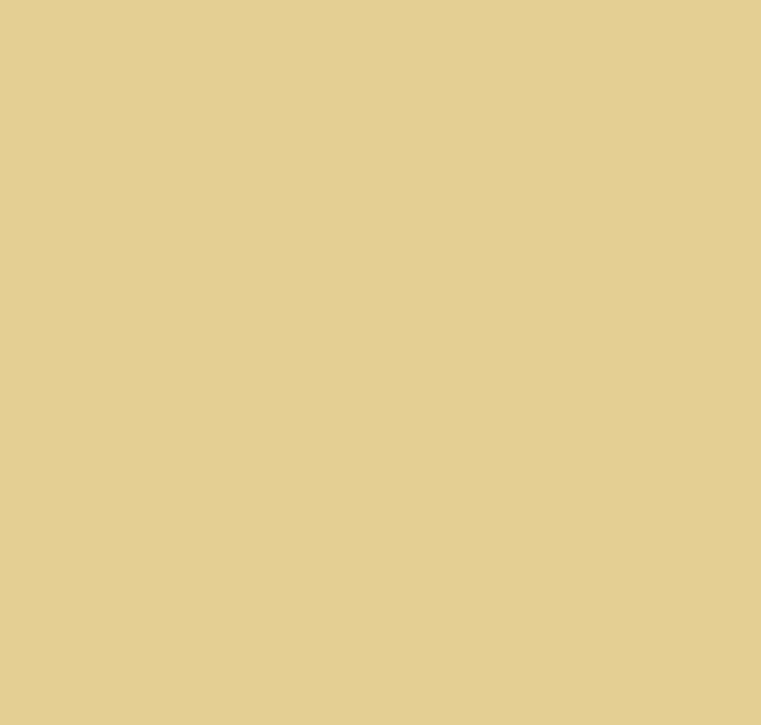 BS388 Beige