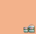 BS447 Salmon Pink