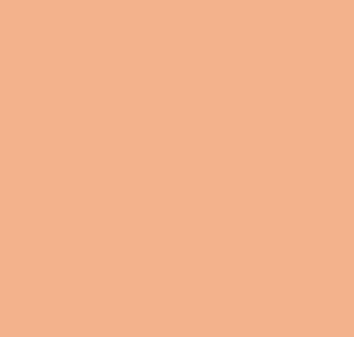 BS447 Salmon Pink