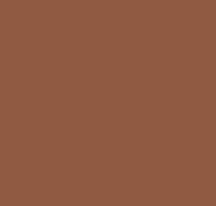 BS489 Leaf Brown