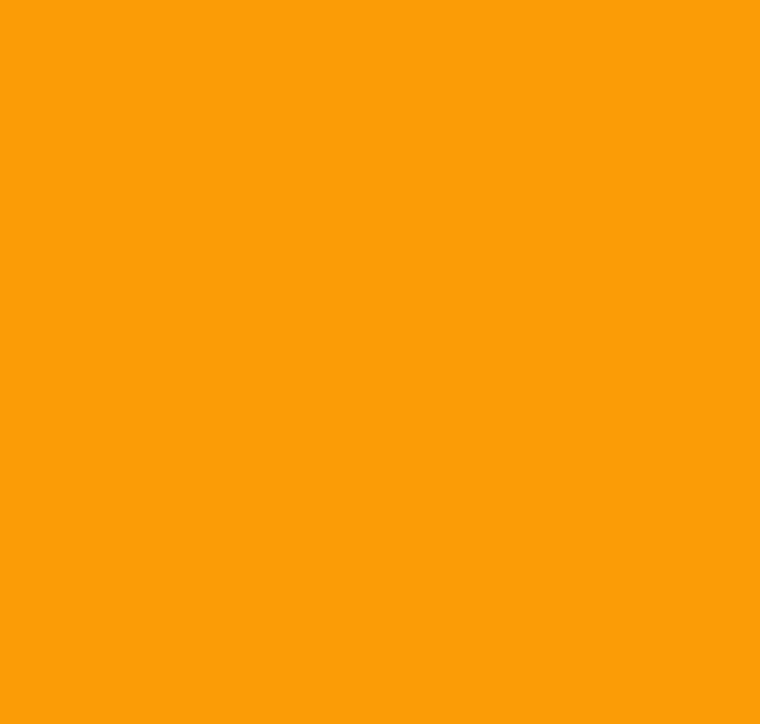 BS568 Apricot