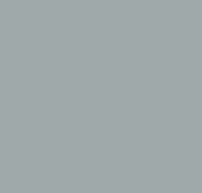 BS626 Camouflage Grey
