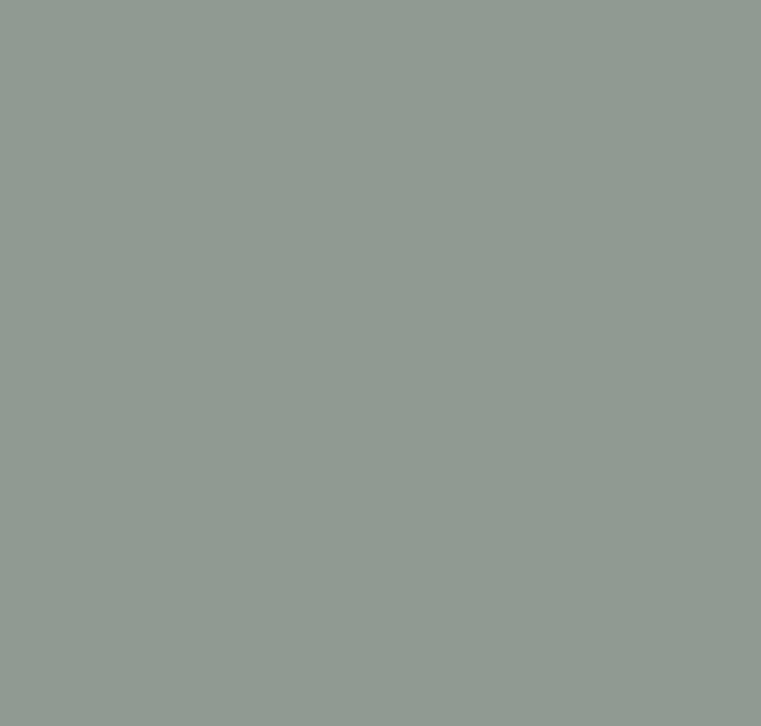 BS694 Dove Grey
