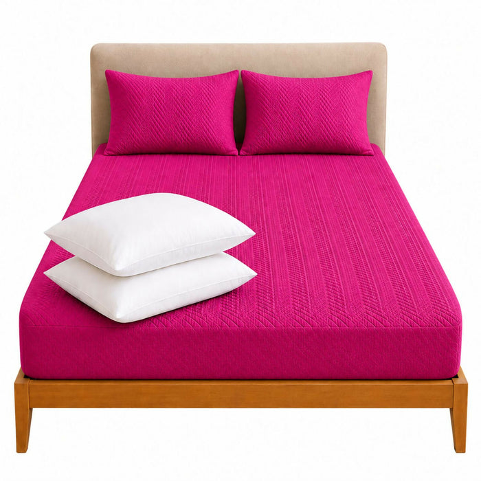 Fucsia
