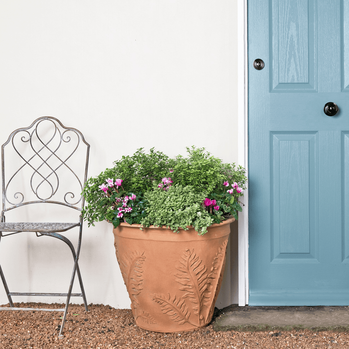 Fern Garden Pot in a Terracotta Finish - Outdoor Planters - The Well Appointed House