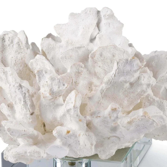 Flower Coral On Crystal Base (White) - Decorative Objects - The Well Appointed House