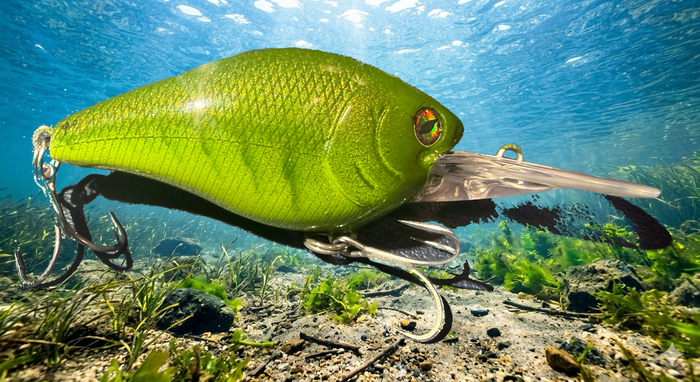 green medium diver