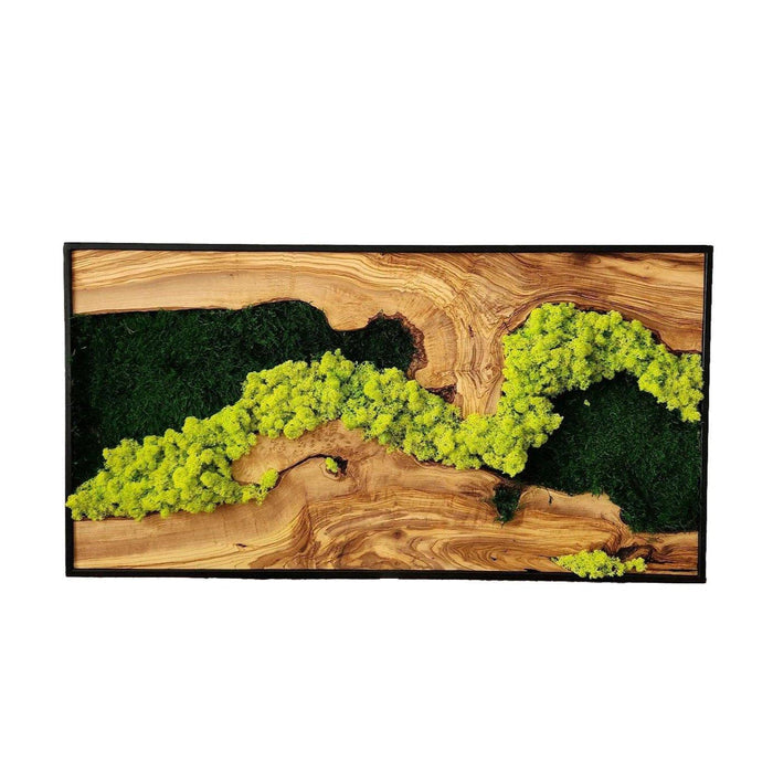 Handmade moss and olive tree wood wall art by Artdesigna, rectangular wooden wall sculpture with natural textured design.