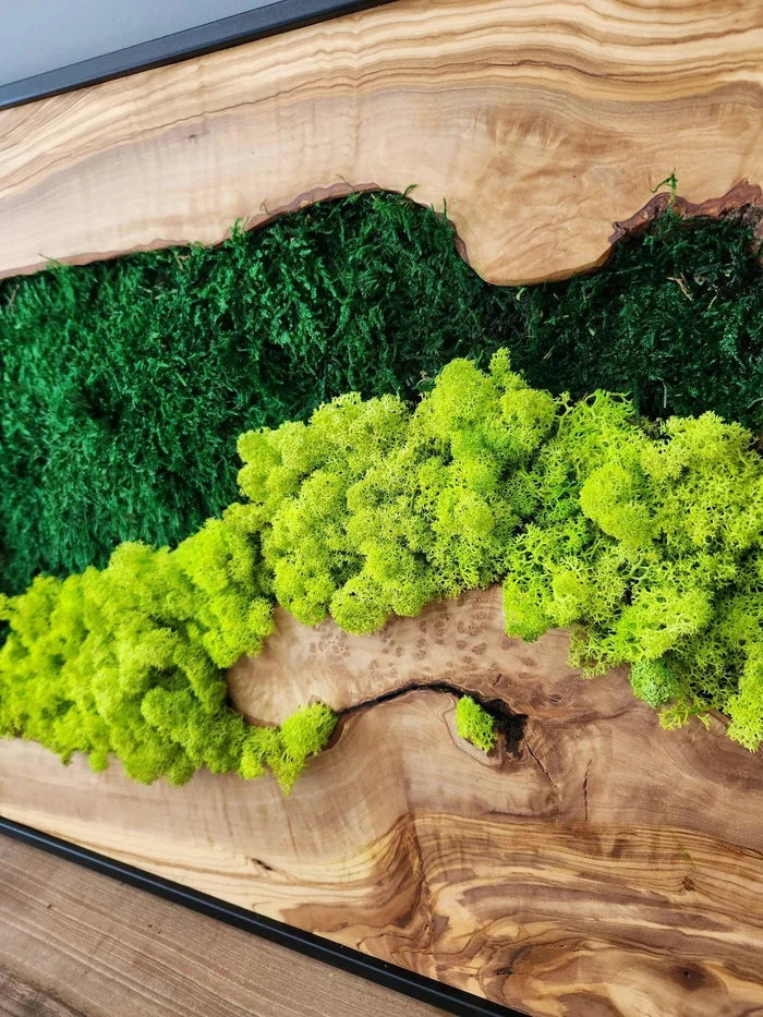 Handmade moss and olive tree wood wall art by Artdesigna, rectangular wooden sculpture with natural textures and earthy tones.