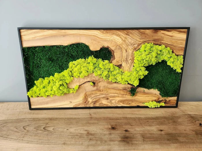 Handmade moss and olive tree wood wall art by Artdesigna, rectangular wooden wall sculpture with textured natural finishes.
