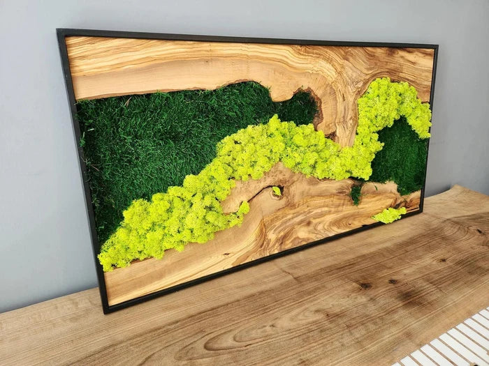 Handmade moss and olive tree wood wall art sculpture by Artdesigna, rectangular wooden wall decor with natural textures and organic design.