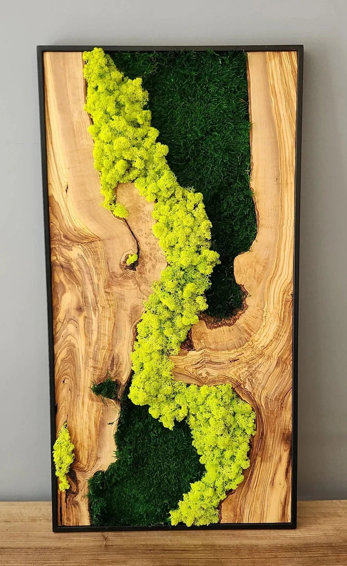 Handmade moss and olive tree wood wall art by Artdesigna, rectangular wood sculpture for wall decor featuring natural textures.
