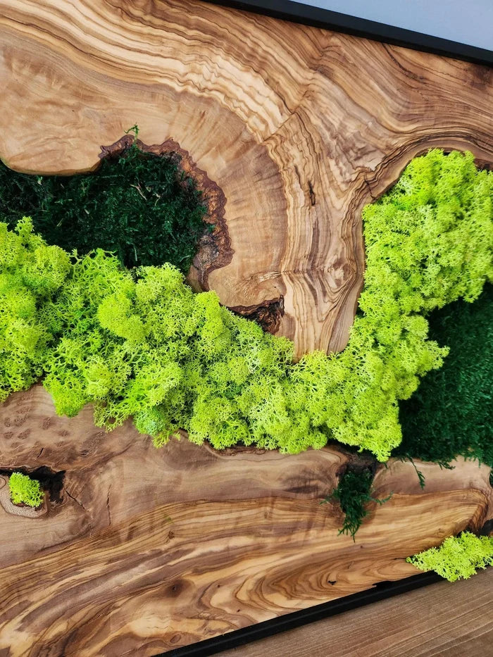 Rectangular handmade moss and olive tree wood wall art by Artdesigna, featuring natural textures and a modern sculptural design.