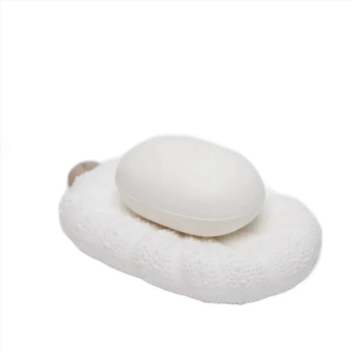 Pigeon & Poodle Hilo Sea Urchin Patterned Soap Dish - Bath Accessories - The Well Appointed House