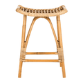 Honey Brown Contemporary Rattan Counter Stool - Bar & Counter Stools - The Well Appointed House