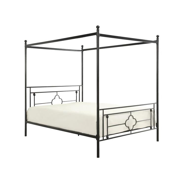 Hosta Queen Platform Bed - Furniture World SW (WA)