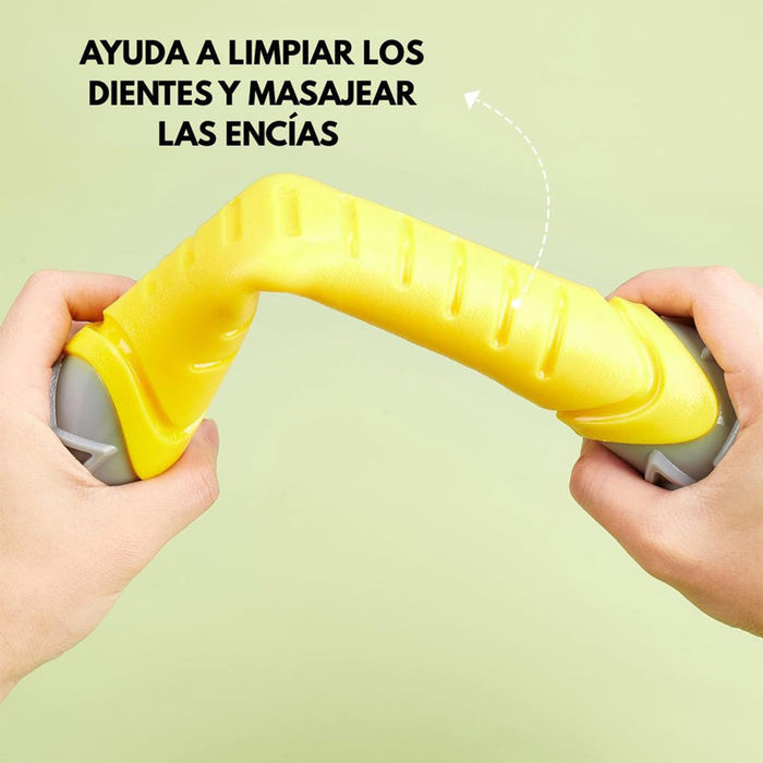 HUESO FLEXY DOGL