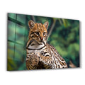 Just Chillin | Glass Wall Art - Artdesigna