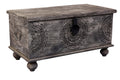 LEELO GRAY TRUNK image