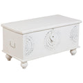 LEELO WHITE TRUNK image