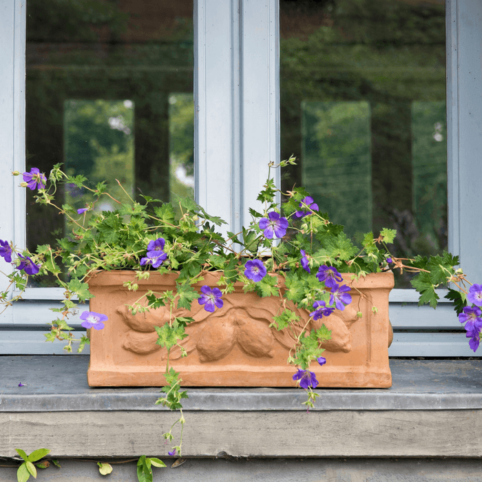 Lemons Citrus Trough Outdoor Garden Planter - Outdoor Planters - The Well Appointed House
