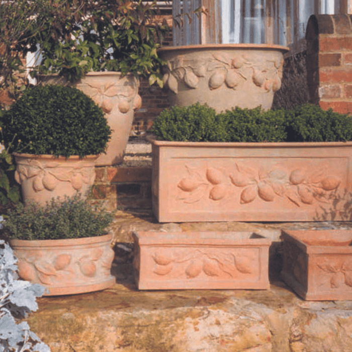 Lemons Citrus Trough Outdoor Garden Planter - Outdoor Planters - The Well Appointed House