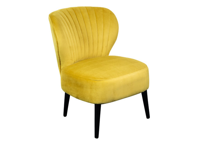 LOLITA AC1843 CHAIR image