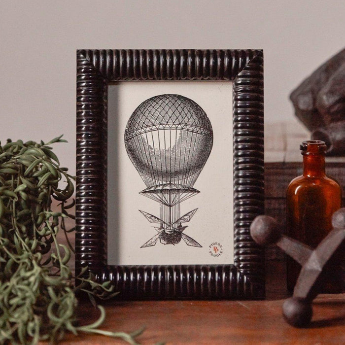 Pigeon & Poodle Metz Black Horn Picture Frame in Three Different Sizes - Picture Frames - The Well Appointed House