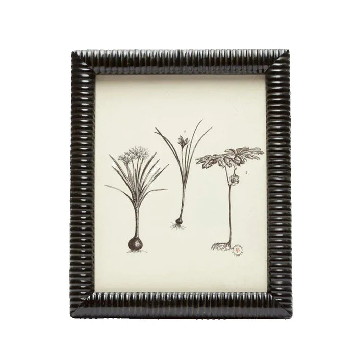 Pigeon & Poodle Metz Black Horn Picture Frame in Three Different Sizes - Picture Frames - The Well Appointed House