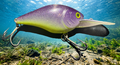 purple and chartreuse med depth diving crank bait