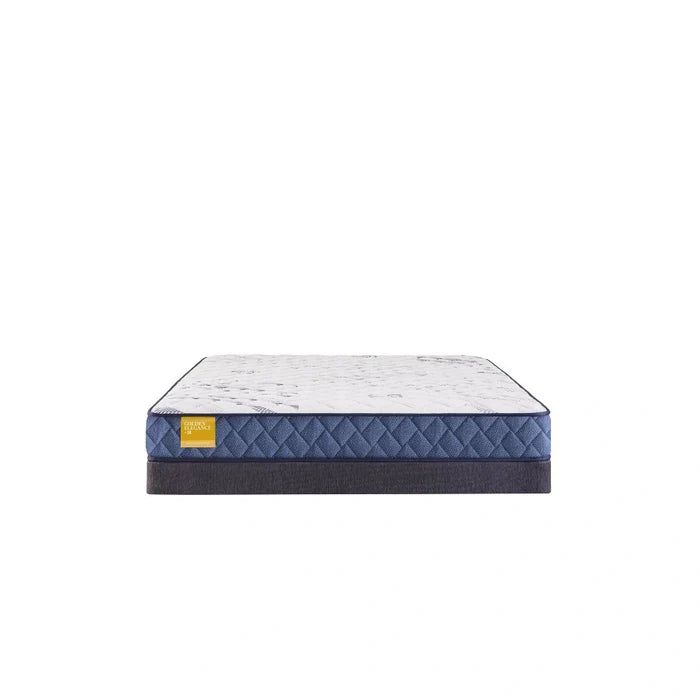 Sealy Erie Foam Mattress