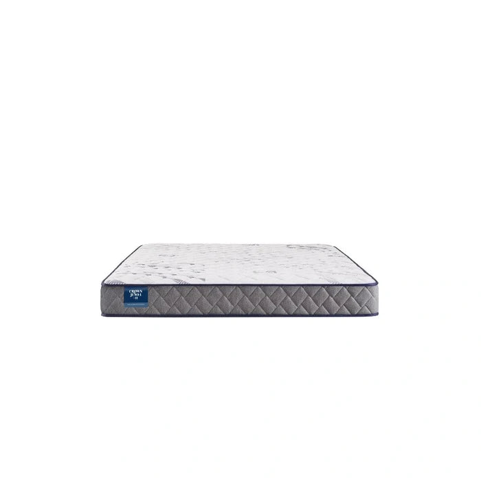 Sealy First & Park Foam Mattress