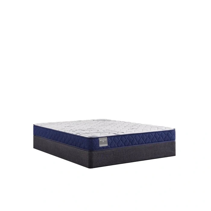 Sealy Oconee Foam Mattress
