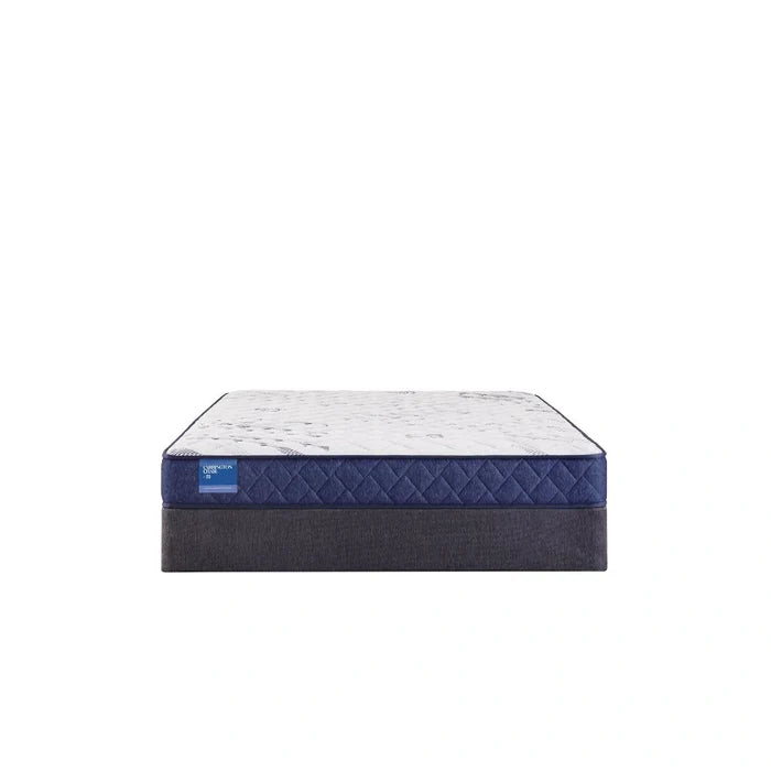 Sealy Resting Manor Foam Mattress