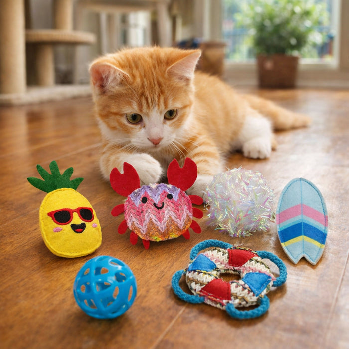 SETX6 PARA GATOS VERANO PLAYERO CANGREJO