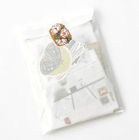Surprise Bag